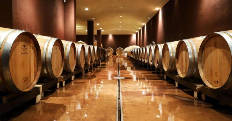 lake-garda-wine-tour-and-tasting-experience-in-bardolino