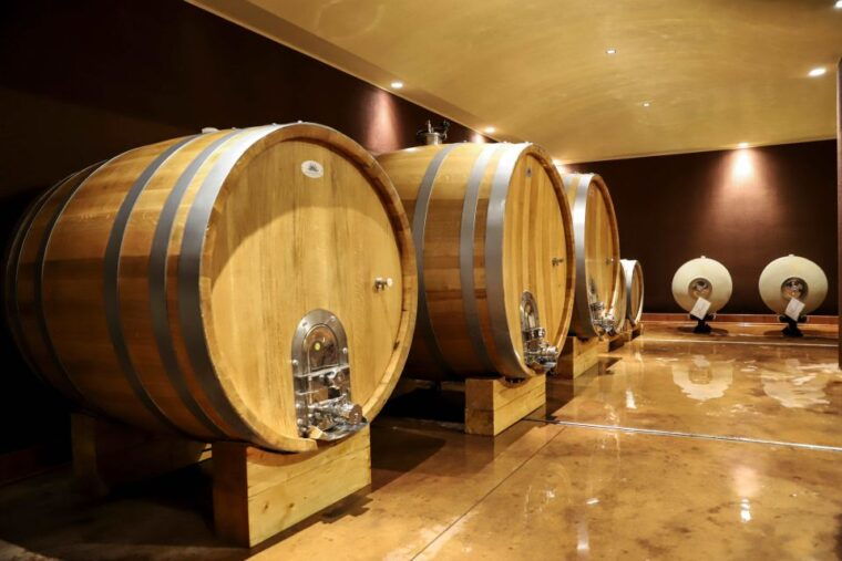 lake-garda-wine-tour-and-tasting-experience-in-bardolino