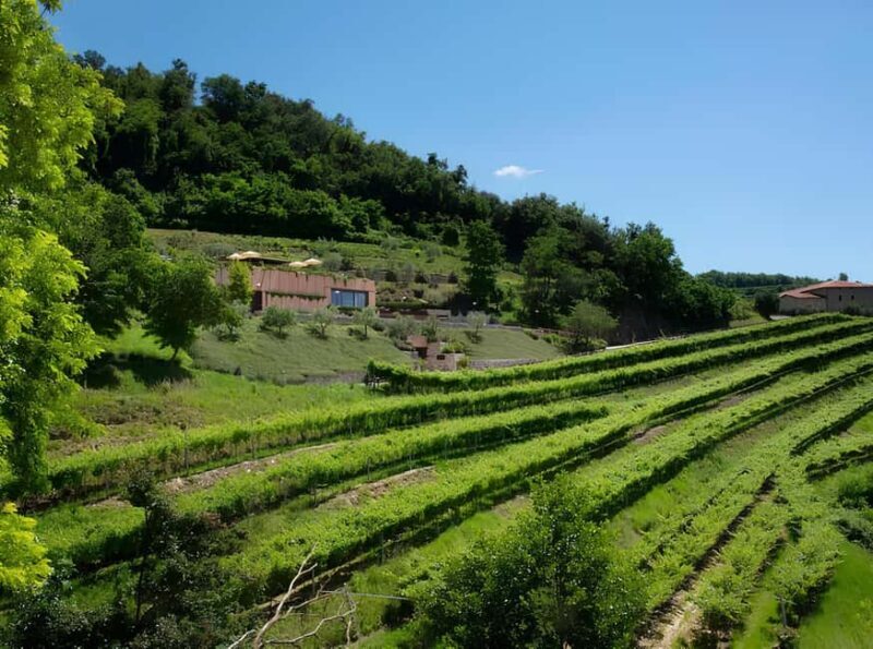 Lake Garda: Winery Tour and Wine Tasting in Valpolicella - Practical Details and Logistics
