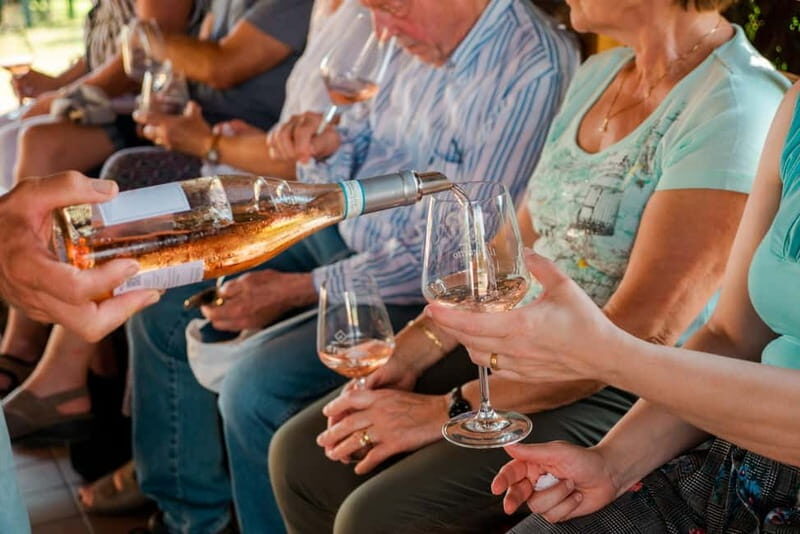 Lake Garda: Winery Tour & Wine Tasting with Local Delicacies - Discovering the Winery and Its Roots