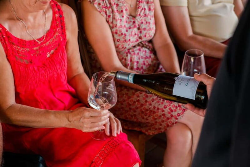 Lake Garda: Winery Tour & Wine Tasting with Local Delicacies - The Tasting Experience: Wines and Food Pairings