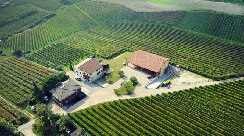 Lake Garda: Winery Tour & Wine Tasting with Local Delicacies - Final Thoughts: Who Will Enjoy This Tour?