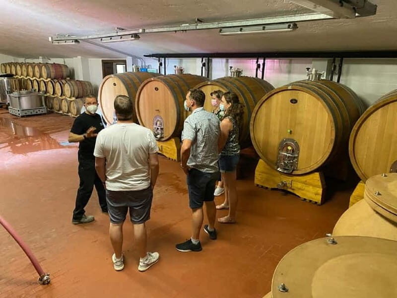 Lake Garda: Winery Visit with Wine and Olive Oil Tasting - Who Should Try This Tour?