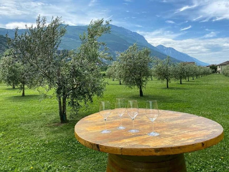 Lake Garda: Winery Visit with Wine and Olive Oil Tasting - FAQs