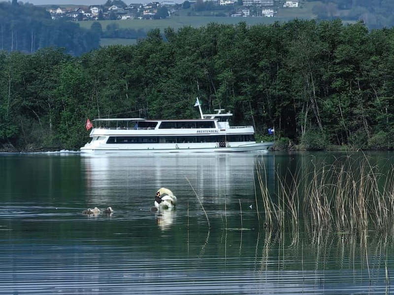 Lake Hallwil: round trip or day ticket for Lake Hallwil - Why Choose This Lake Experience?