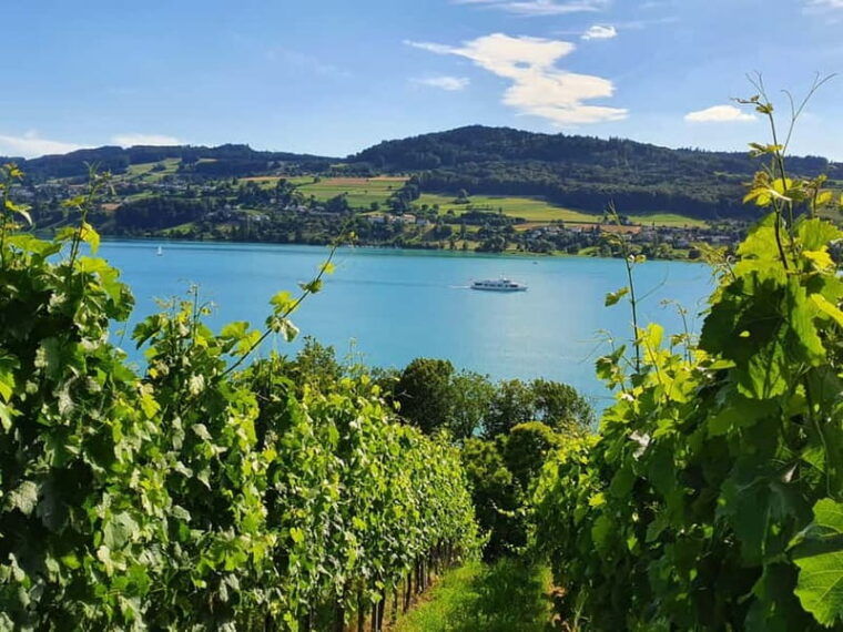 Lake Hallwil: round trip or day ticket for Lake Hallwil - Final Thoughts