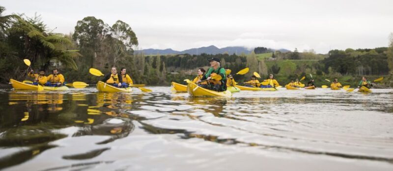 Lake Karapiro: Evening Kayak Glowworm Tour - Lake Karapiro: Evening Kayak Glowworm Tour Review