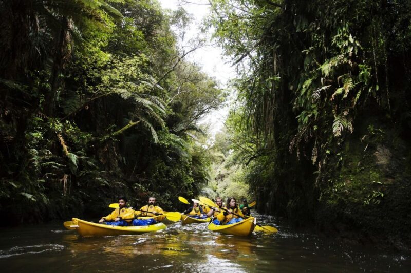 Lake Karapiro: Evening Kayak Glowworm Tour - Key Points