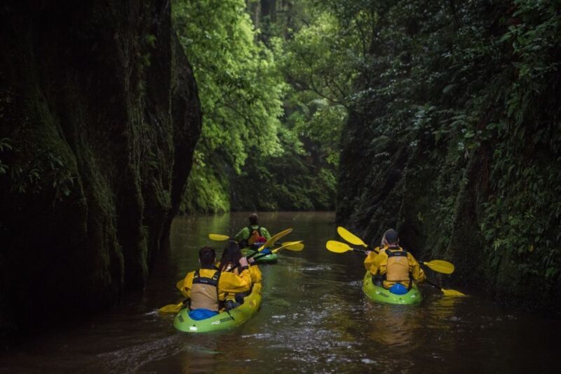 Lake Karapiro: Evening Kayak Glowworm Tour - The Scenic Route: Canoeing Through a Carved-Out Canyon