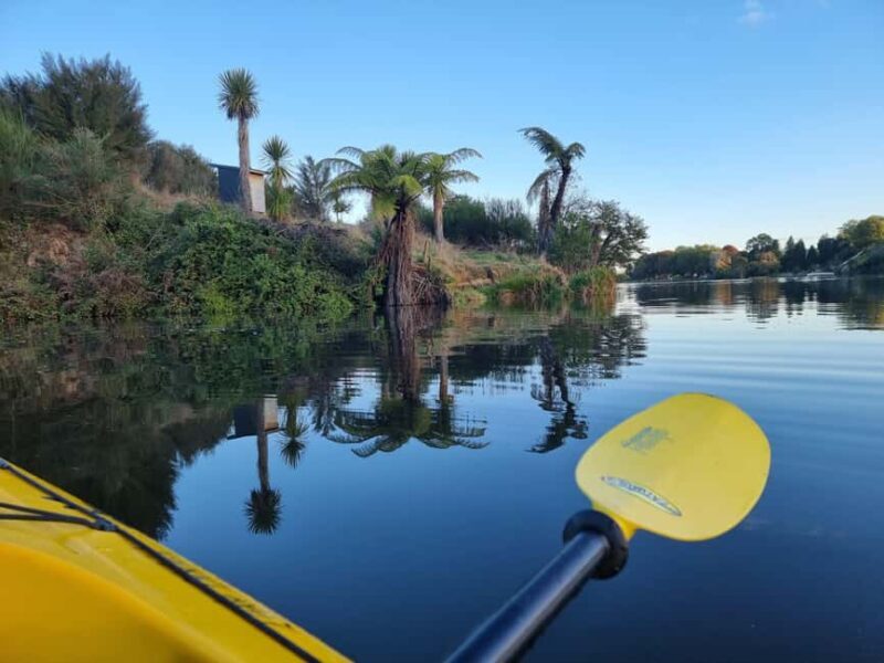 Lake Karapiro: Evening Kayak Glowworm Tour - The Glowworm Spectacle: Nature’s Nightlights