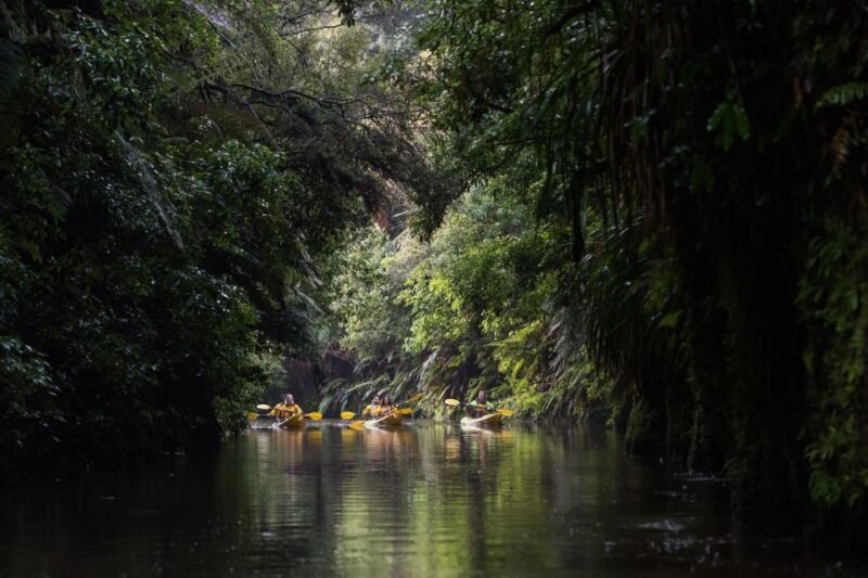 Lake Karapiro: Evening Kayak Glowworm Tour - What’s Included & Practical Considerations