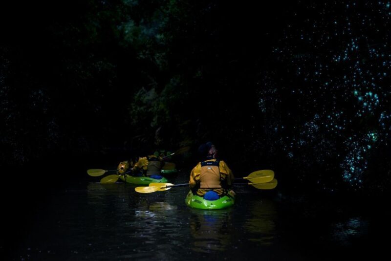Lake Karapiro: Evening Kayak Glowworm Tour - Who Should Consider This Tour?