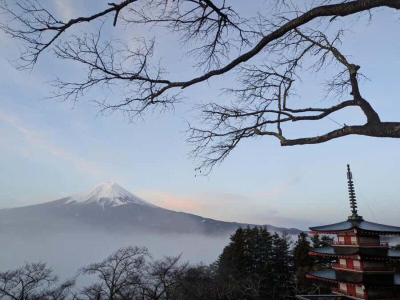 Lake Kawaguchi : Exclusive Private Tour with Local Guide - The Sum Up
