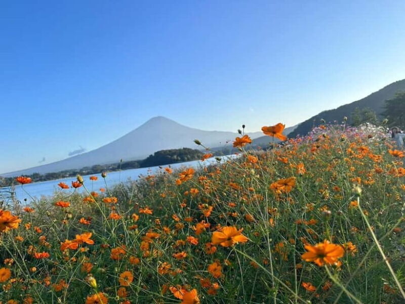 Lake Kawaguchi: Half day Private Tour with local guide - Final Thoughts: Who Will Love This Tour?