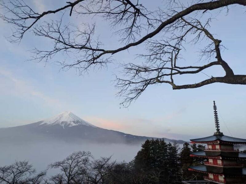Lake Kawaguchi : Private Hiking Tour with Local Guide - Final Thoughts