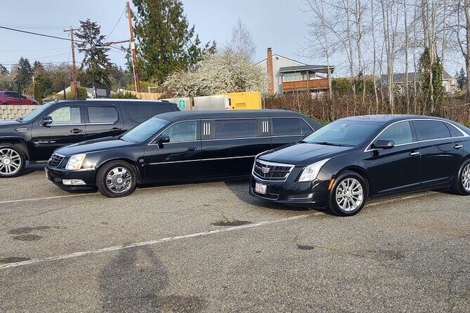 Lake Las Vegas to Las Vegas Airport (LAS) - Departure Transfer - A Detailed Look at the Experience