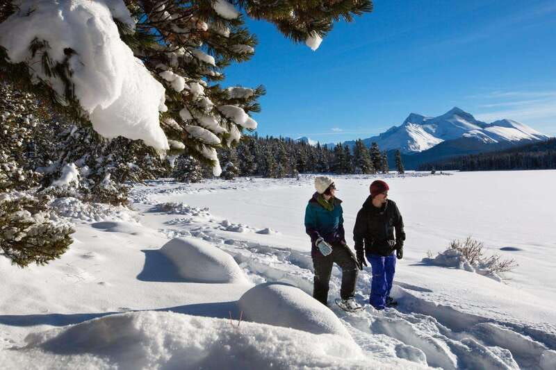 lake-louise-peyto-lake-johnston-canyon-icefields-parkway