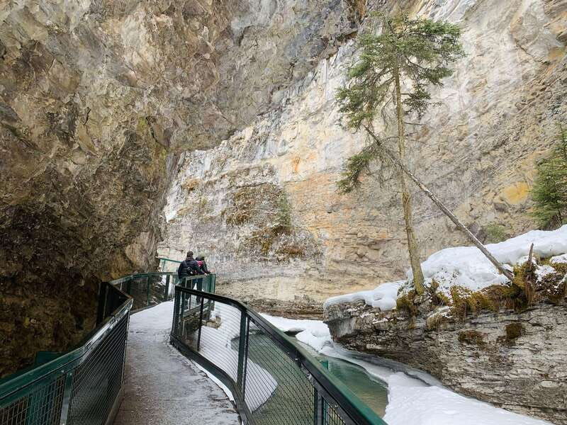 lake-louise-peyto-lake-johnston-canyon-icefields-parkway