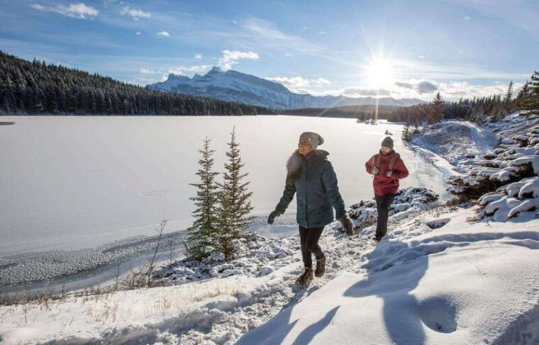 lake-louise-peyto-lake-johnston-canyon-icefields-parkway