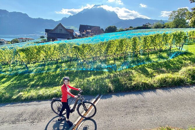 lake-lucerne-peninsula-e-bike-tour
