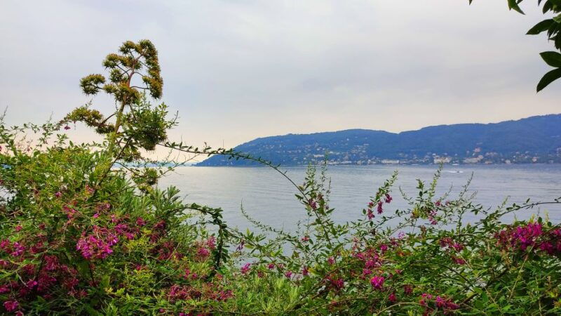lake-maggiore-stresa-and-isola-madre-private-tour