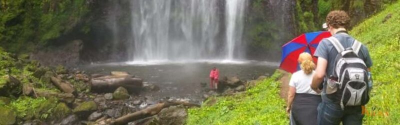 Lake Manyara: The best of Day Trip from Arusha - The Itinerary and What to Expect