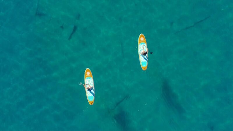 Lake Mead: Paddle Board Rental - FAQs