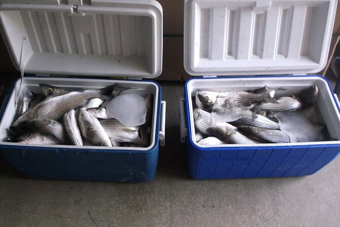 lake-mead-striped-bass-fishing-getaway