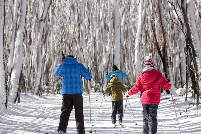 Lake Mountain Snow play and Steavenson Falls from Melburne - A Closer Look at the Tour Experience