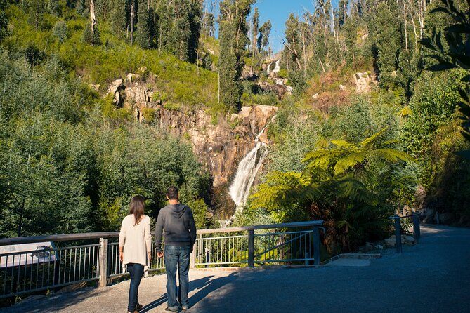 Lake Mountain Snow play and Steavenson Falls from Melburne - FAQ