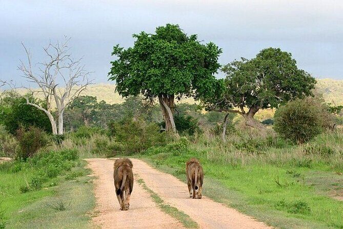 Lake Naivasha And Lake Nakuru Overnight Tour - Exploring the Itinerary in Detail