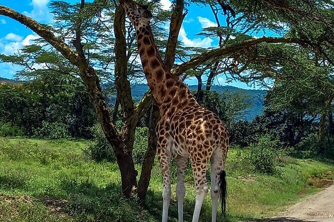 Lake Naivasha And Lake Nakuru Overnight Tour - Final Thoughts: Who Will Love This Tour?