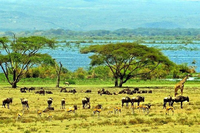 Lake Naivasha day tour including the crescent island - Final Thoughts