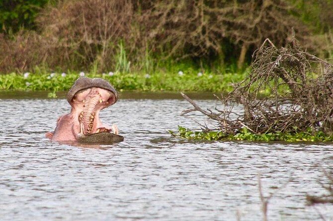 Lake Nakuru Day Tour From Nairobi - The Itinerary in Detail