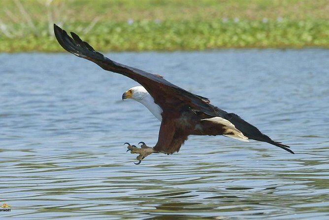 Lake Nakuru Day Tour From Nairobi - Final Thoughts