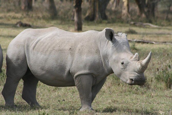 Lake Nakuru Day Trip From Nairobi - Frequently Asked Questions