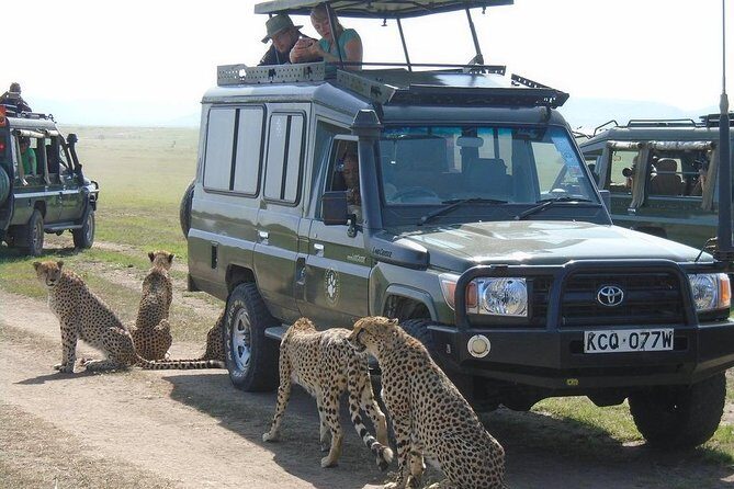 Lake Nakuru, Naivasha & Masai Mara 4 Days Private Jeep Safari - Key Points