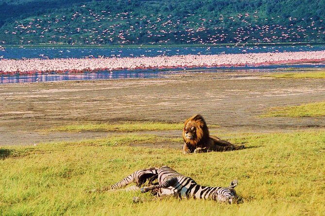 Lake Nakuru National Park: Day Trip from Nairobi - FAQ