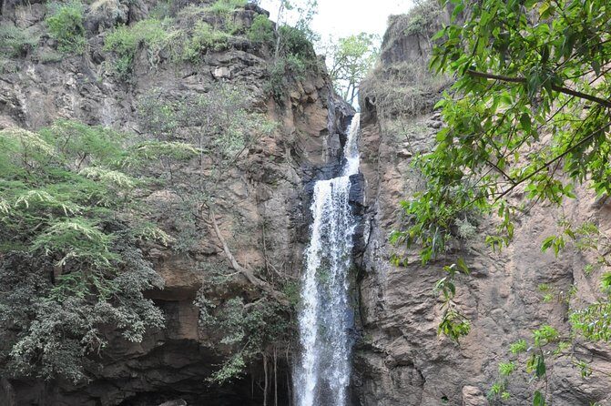 Lake Nakuru National Park daytrip - What to Expect on the Daytrip