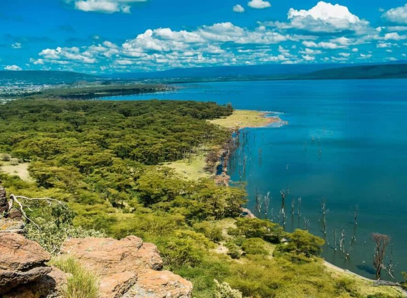 Lake Nakuru National Park: Daytrip in a 4X4 Private Jeep - An In-Depth Look at the Lake Nakuru Day Trip Experience
