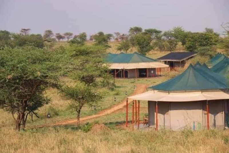 Lake Natron Day trip - Key Points