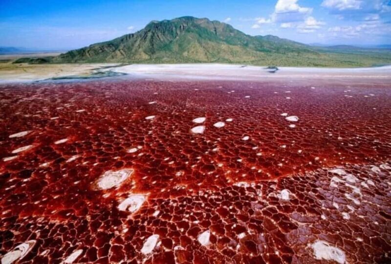 Lake Natron Day trip - Final Thoughts