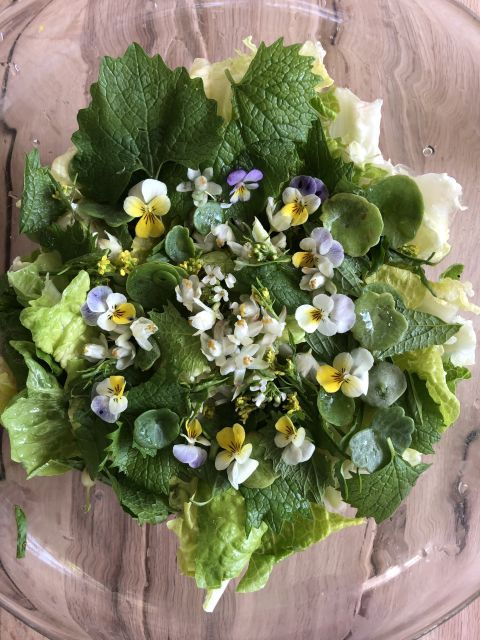 lake-nemi-herbs-of-the-moon-sensory-farm-visit