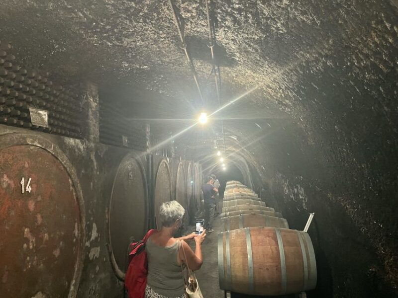 lake-of-bolsena-private-cellar-tour-and-wine-tasting