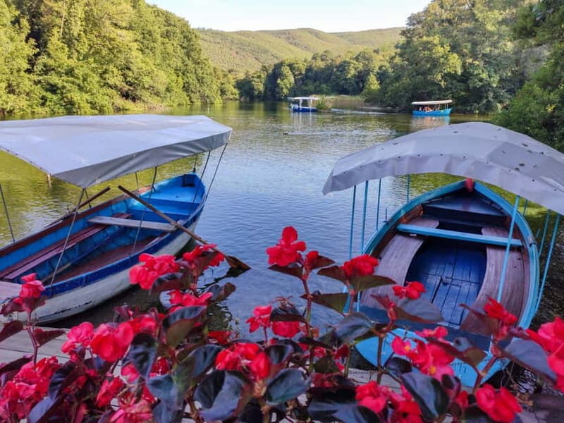 "Lake Ohrid: Monastery, Museum, and City Private Car Tour" - Is This Tour Right for You?