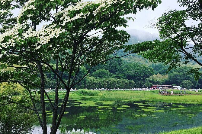 Lake Shidaka and Lake Kagurame Nordic Walking Tour - The Sum Up: Who Should Consider This Tour?