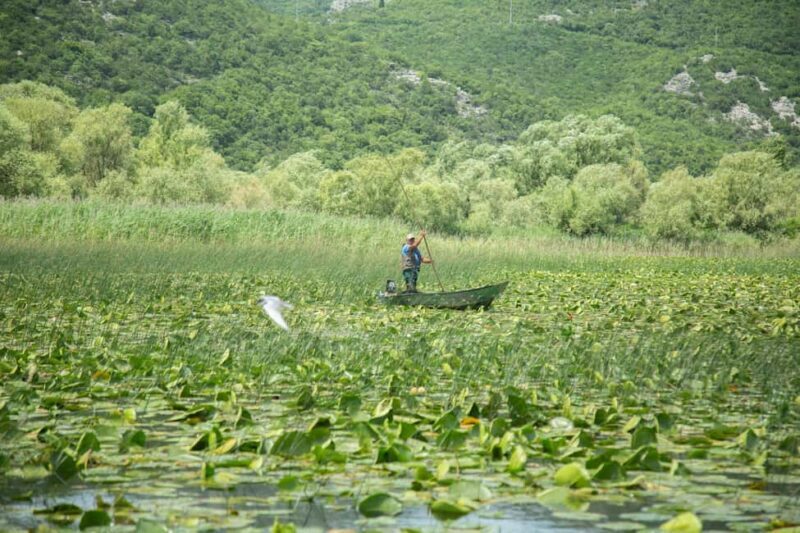 Lake Skadar: Guided Nature Cruise with drinks & small group - Who’s This Tour Best Suited For?