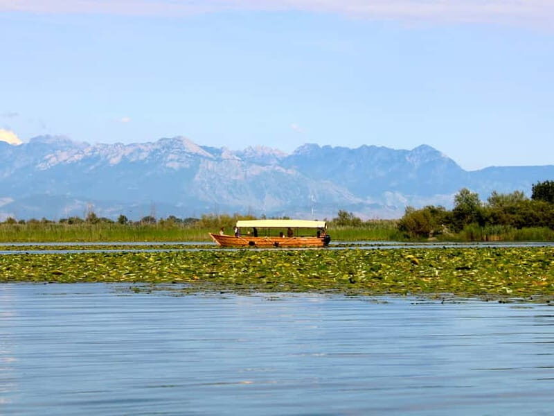 Lake Skadar: Guided Sightseeing Boat Tour with Drinks - An Authentic Journey on Montenegro’s Largest Lake