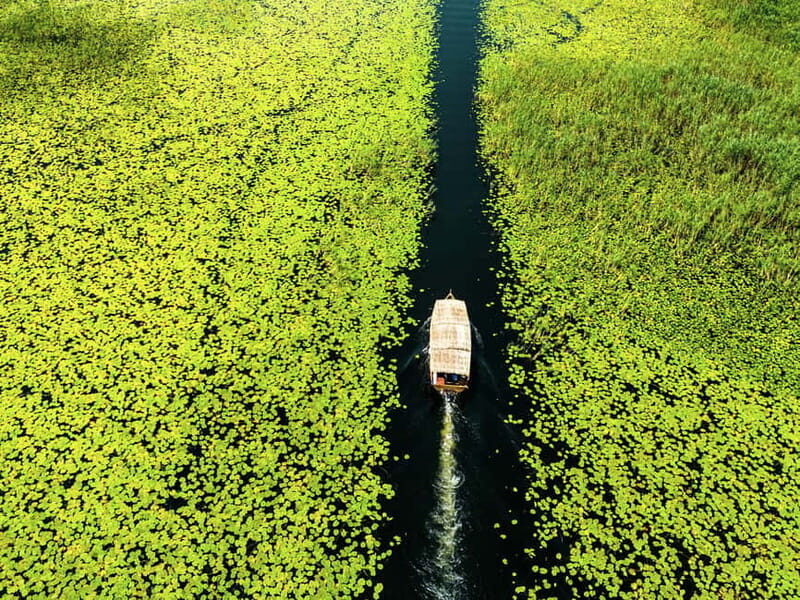 Lake Skadar: Guided Sightseeing Boat Tour with Drinks - The Guided Experience