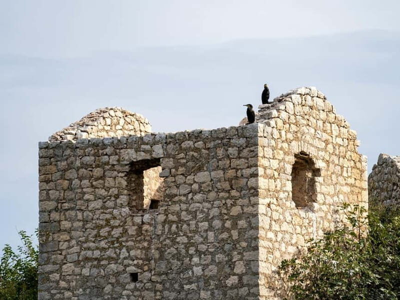 Lake Skadar: Short Boat Tour to Grmour Fortress with Drinks - Introduction  